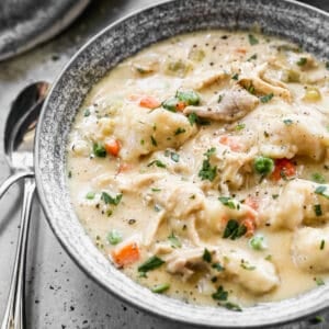 A close-up picture of Chicken and Dumpling Soup, sprinkled with parsley.